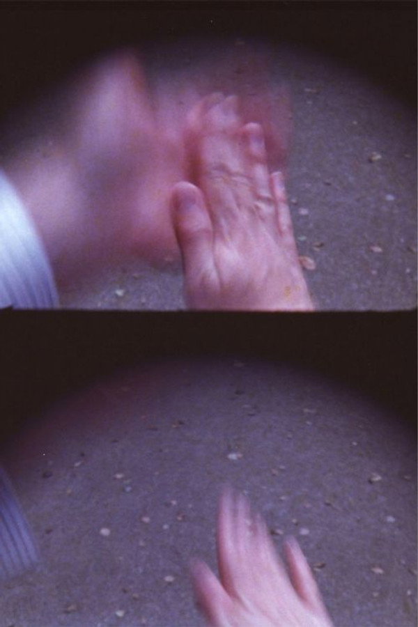 Amor 海报