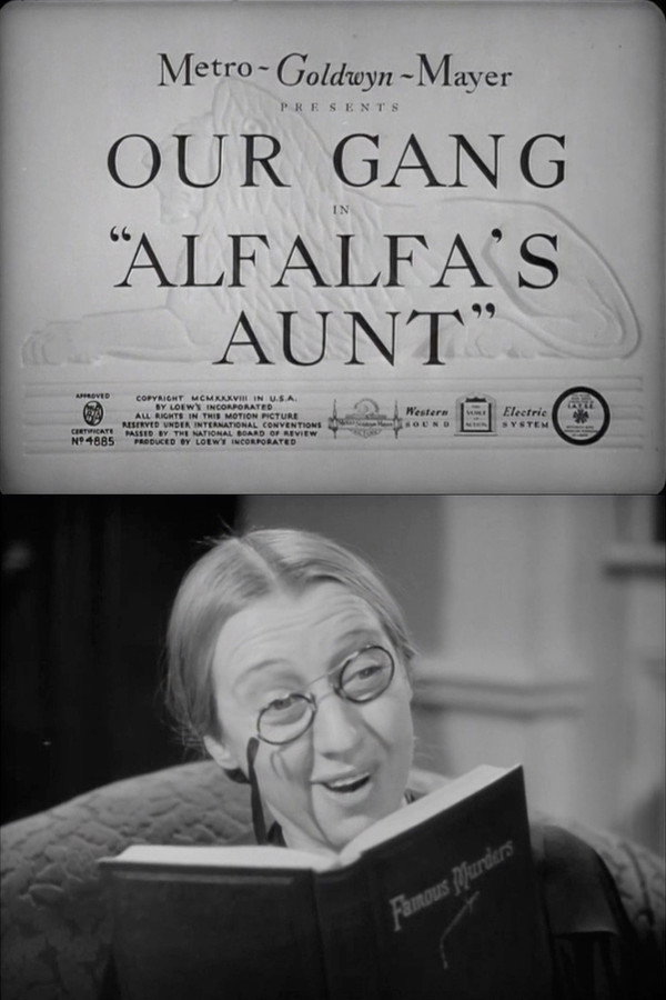 Alfalfa's Aunt 海报