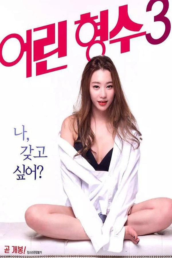 年轻的嫂子3 海报