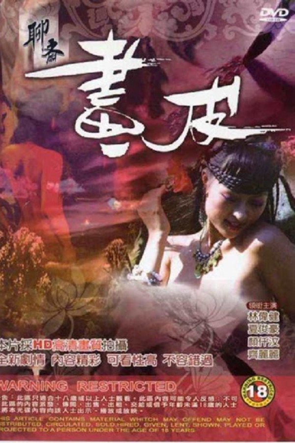 The Ghost Story: Printskin poster