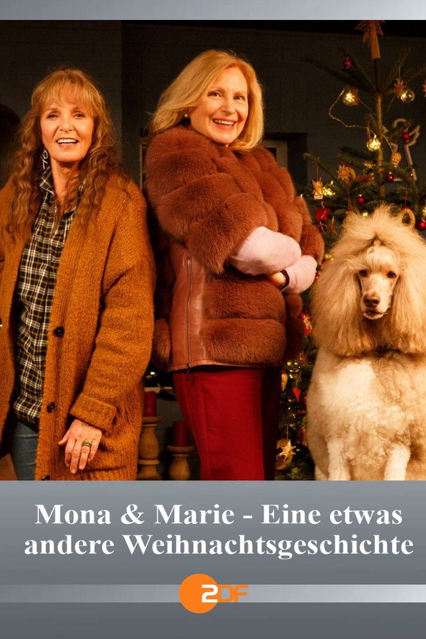 Mona & Marie - Eine etwas andere Weihnachtsgeschichte poster