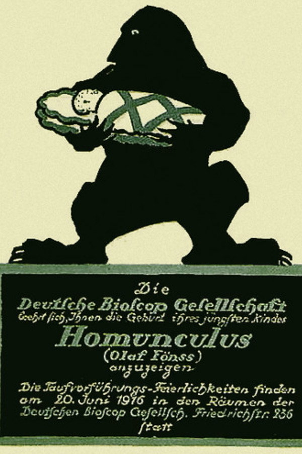 The Love Tragedy of the Homunculus poster