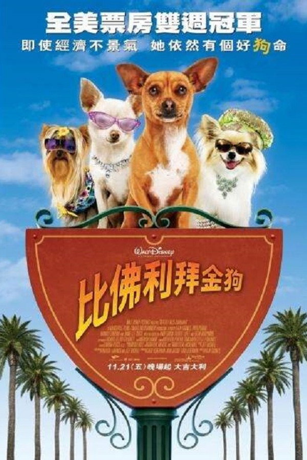 比佛利拜金狗 海报