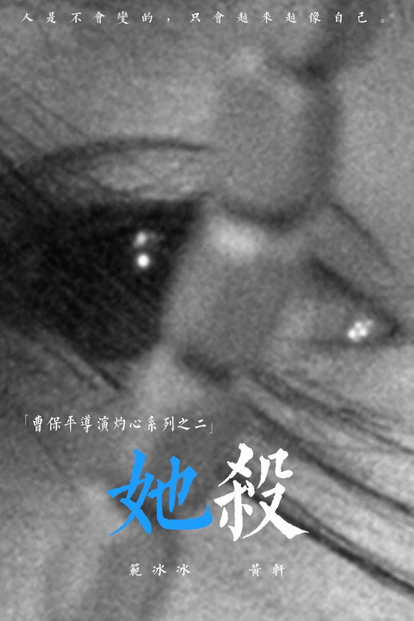The Perfect Blue poster