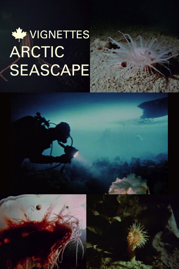 Canada Vignettes: Arctic Seascape 海报