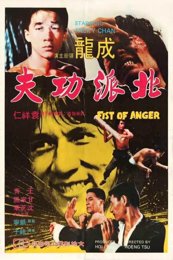 北派功夫 海报