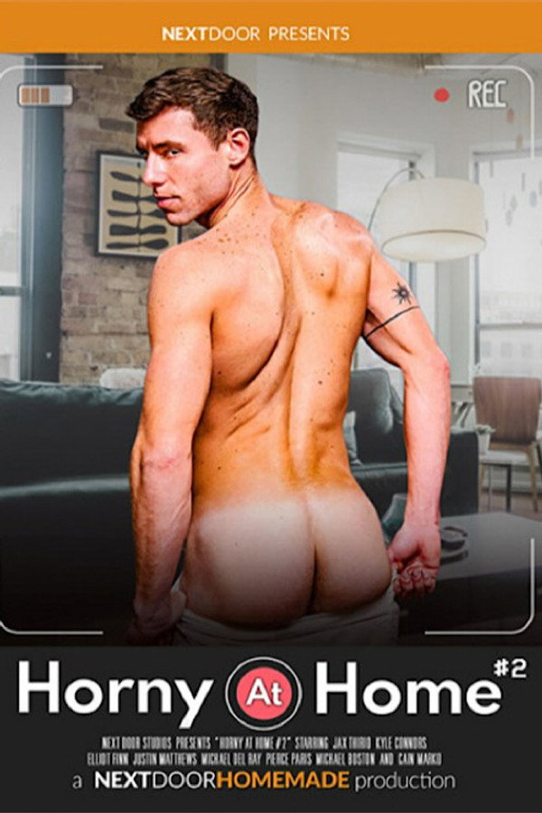 Horny at Home 2 海报