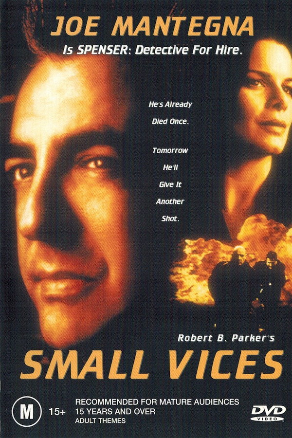 Small Vices poster