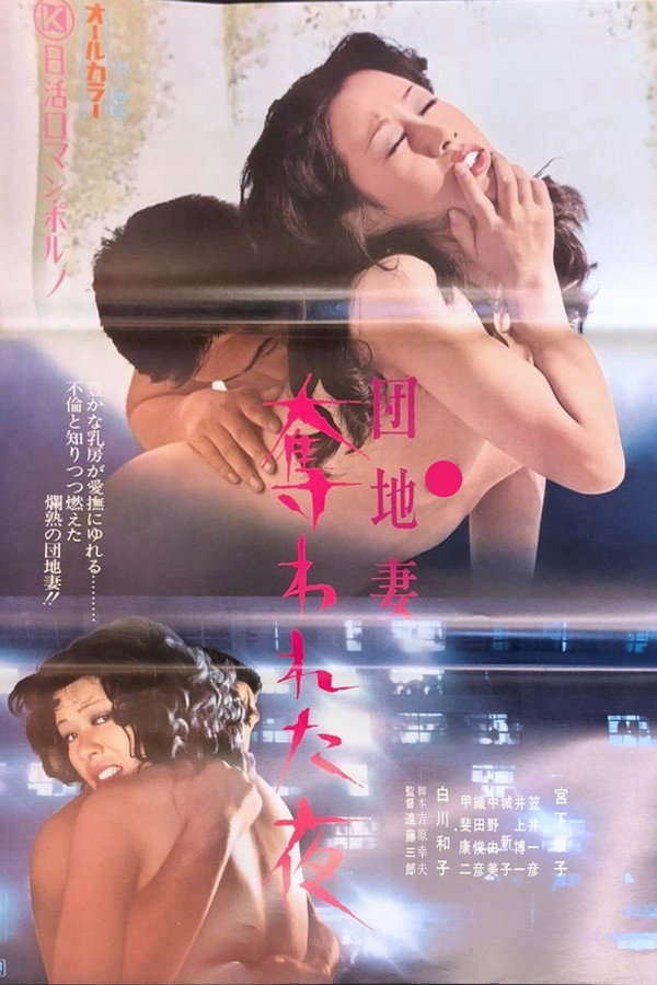 团地妻：剥夺之夜 海报