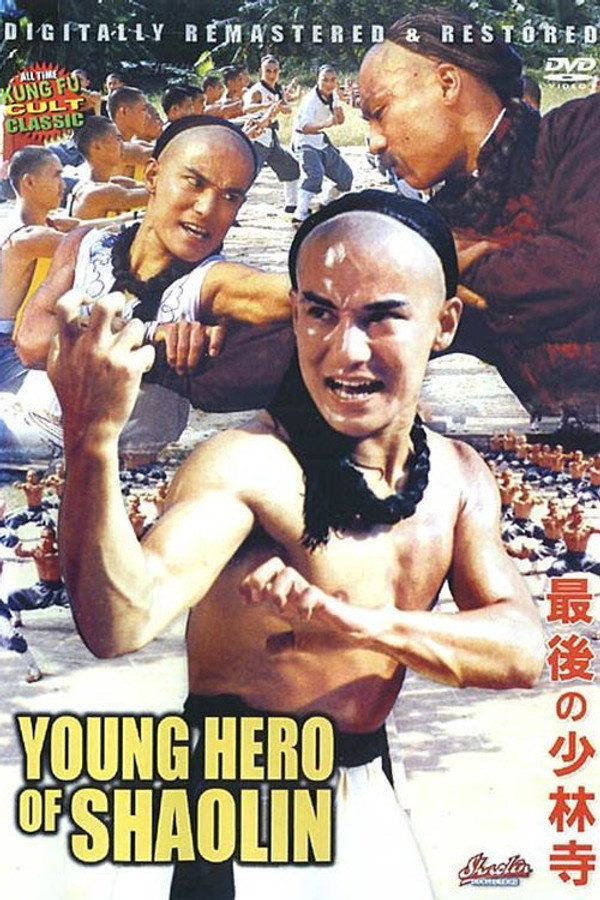 The Young Hero of Shaolin poster