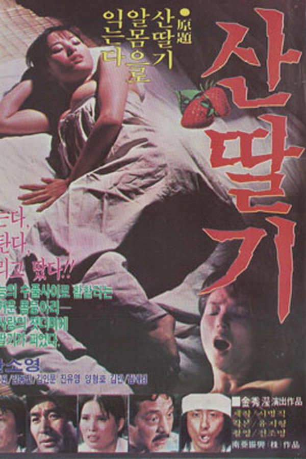 Mountain Strawberries poster