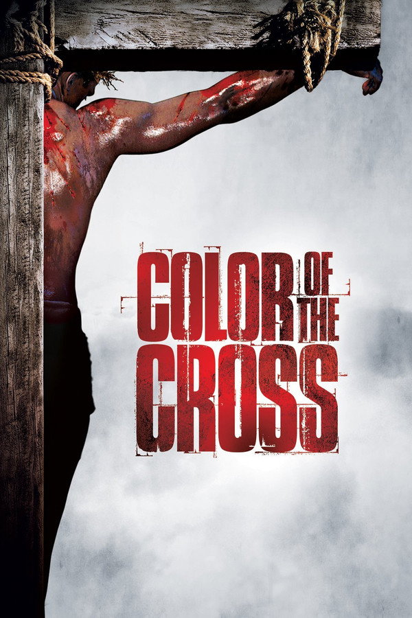 Color of the Cross poster
