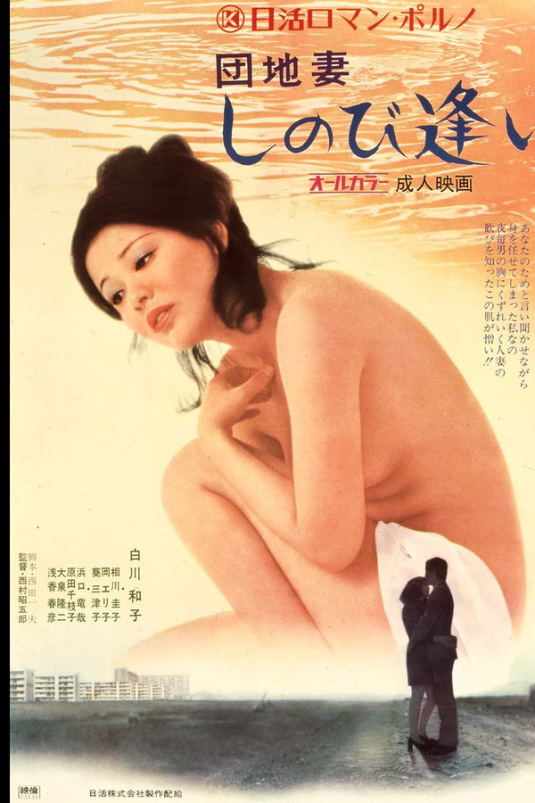 团地妻：秘密的约会 海报