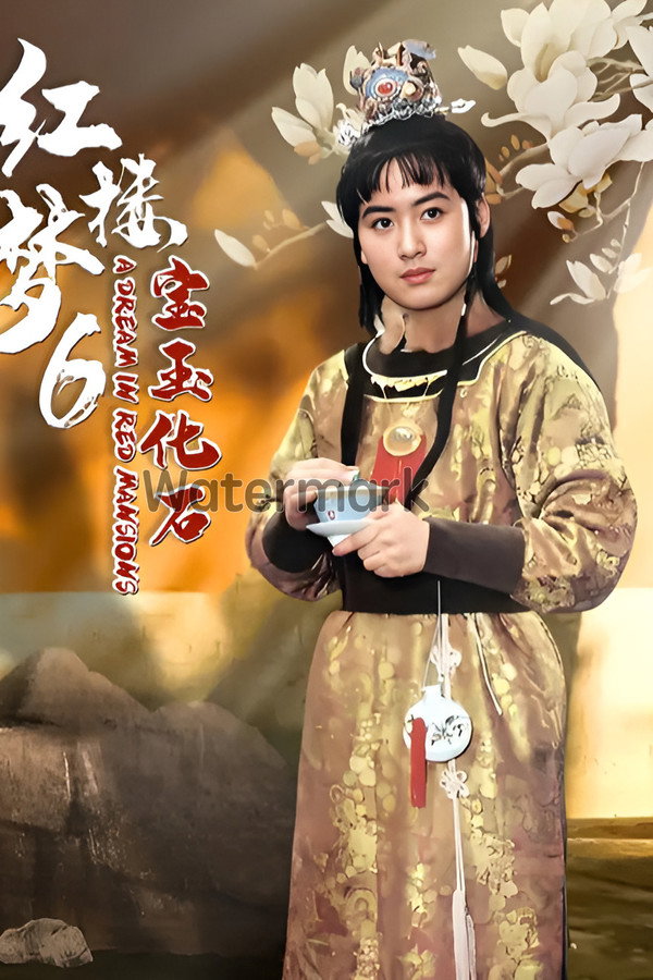 红楼梦第六部：宝玉化石（上） 海报