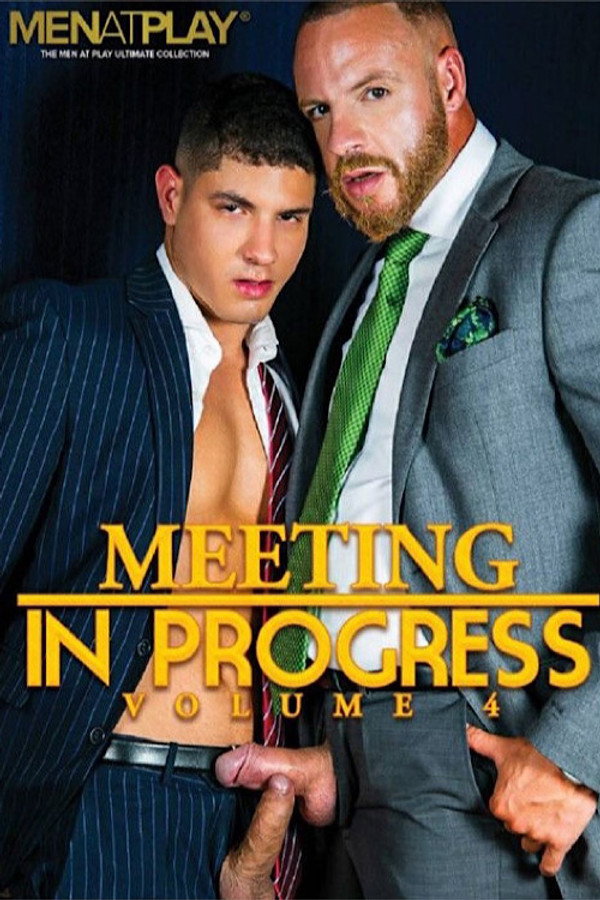 Meeting in Progress 4 海报