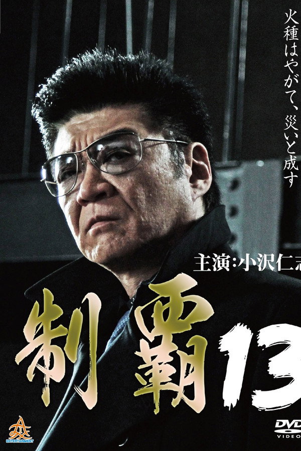 Conquest 13 poster