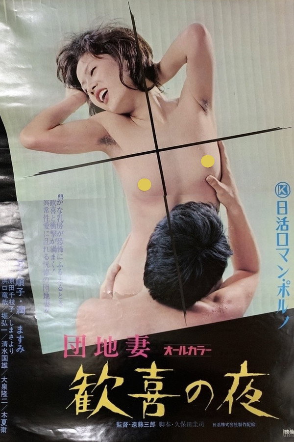 团地妻：欢乐之夜 海报