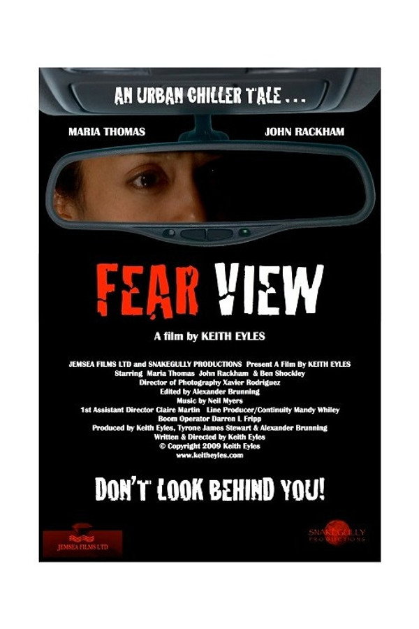Fear View 海报