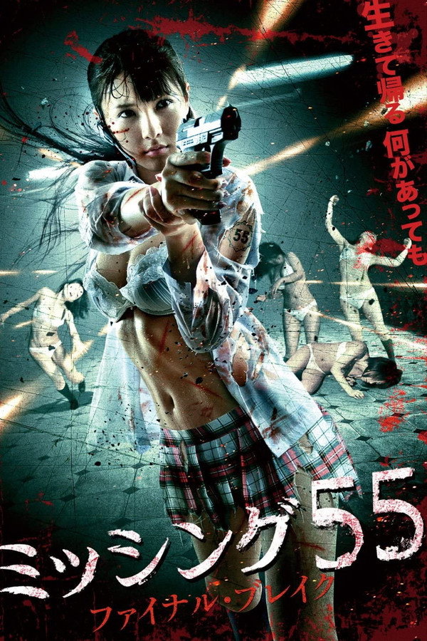 失踪少女55之最终冲动 海报
