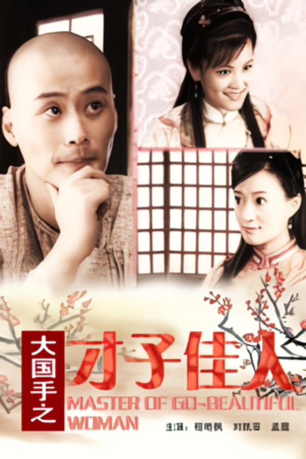 大国手之才子佳人 海报