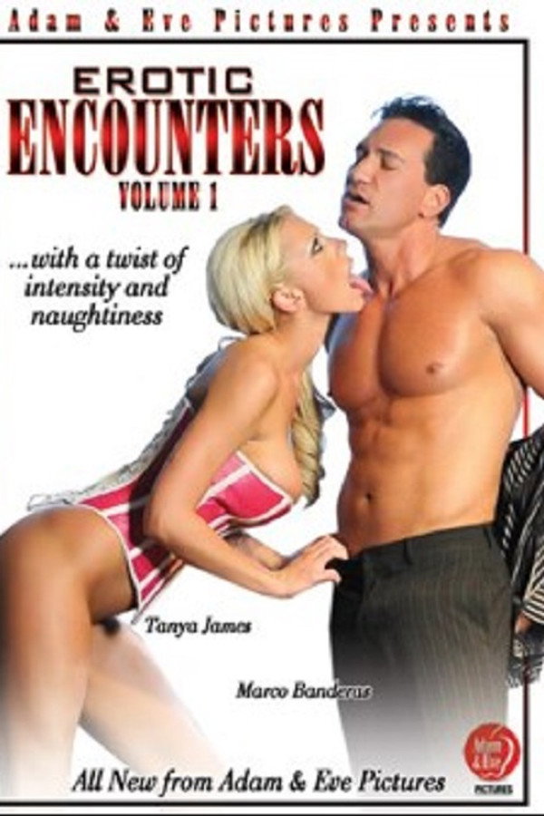 Erotic Encounters 海报
