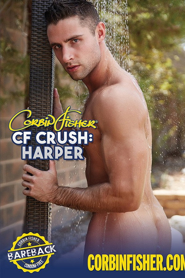 CF Crush: Harper 海报