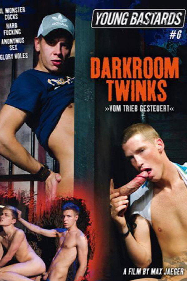 Young Bastards 6: Darkroom Twinks 海报