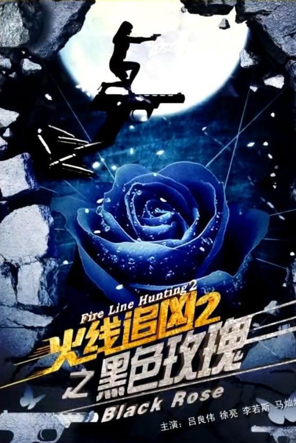 火线追凶2之黑色玫瑰 海报