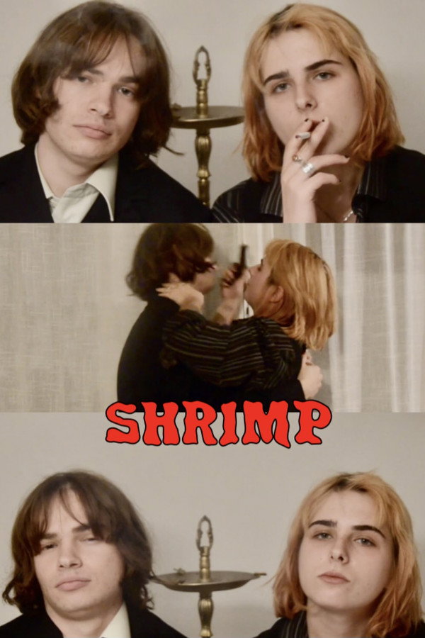 SHRIMP poster