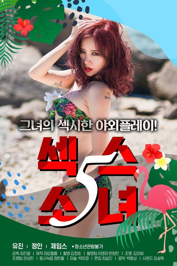 性感女郎5 海报