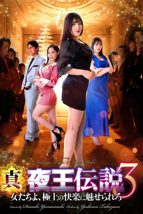 真・夜王伝説3 女たちよ、極上の快楽に魅せられろ 海报