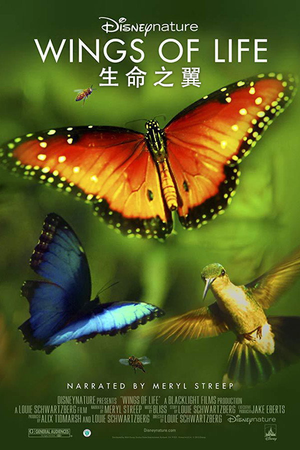 生命之翼