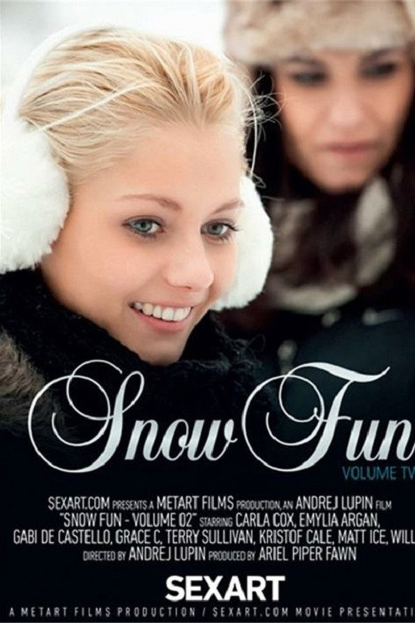 Snow Fun 2 海报