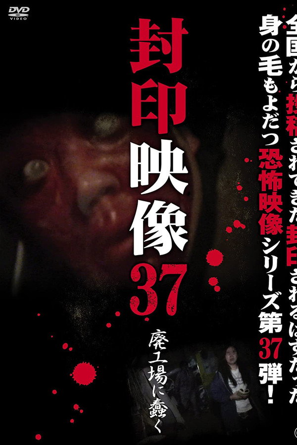 Sealed Video 37: Wriggle in an Abandoned Factory poster