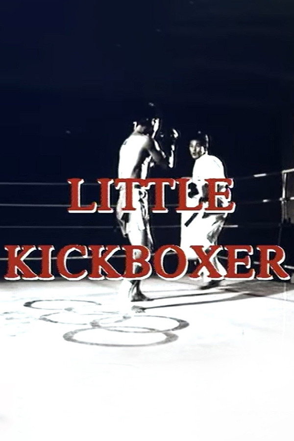 Thunder Ninja Kids 5: Little Kickboxer poster