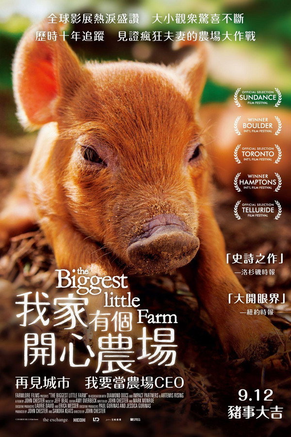 最大的小小农场