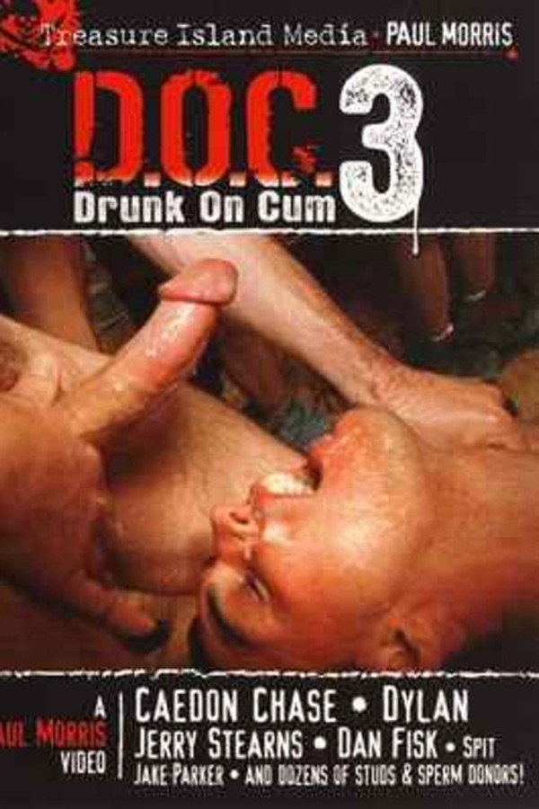 醉酒后射精第3部 海报