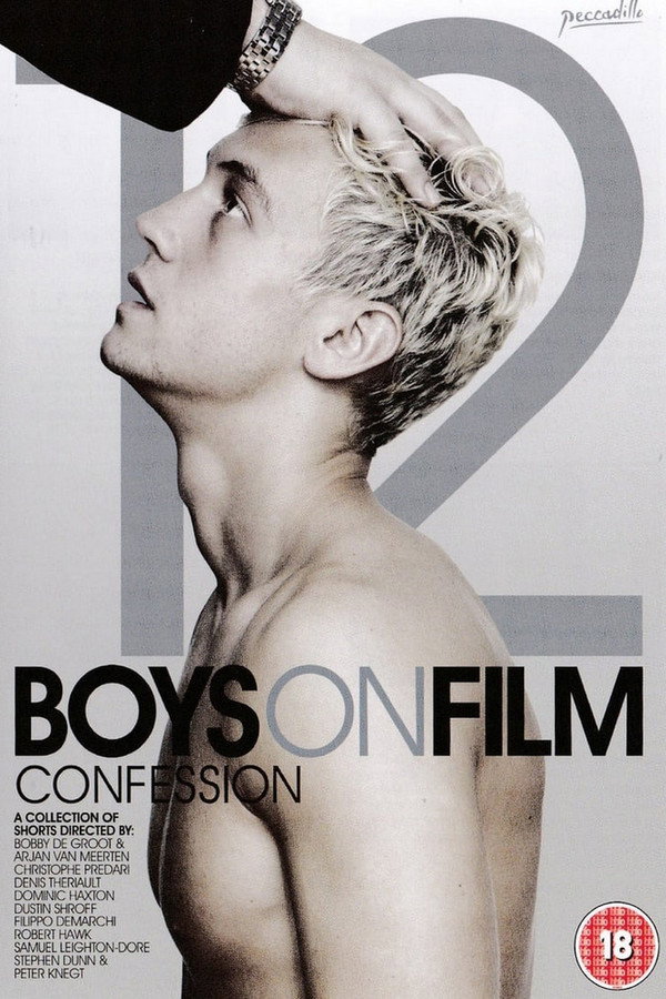 Boys on Film 12: Confession 海报