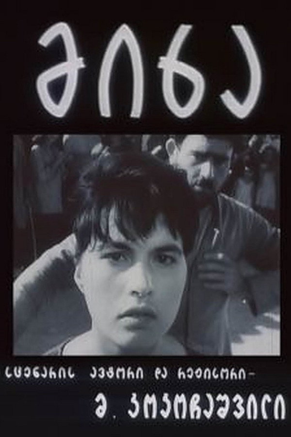 მიხა 海报