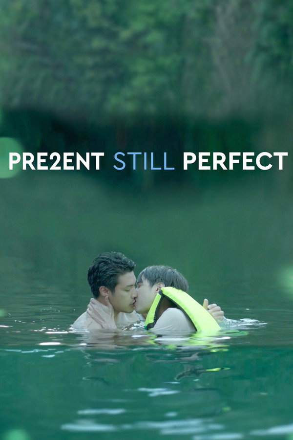 Present Still Perfect poster