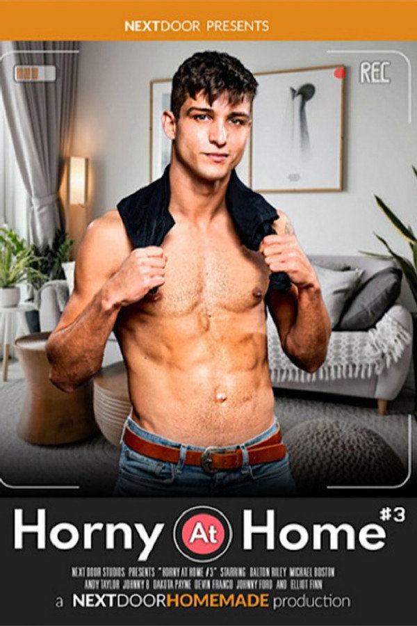 Horny at Home 3 海报