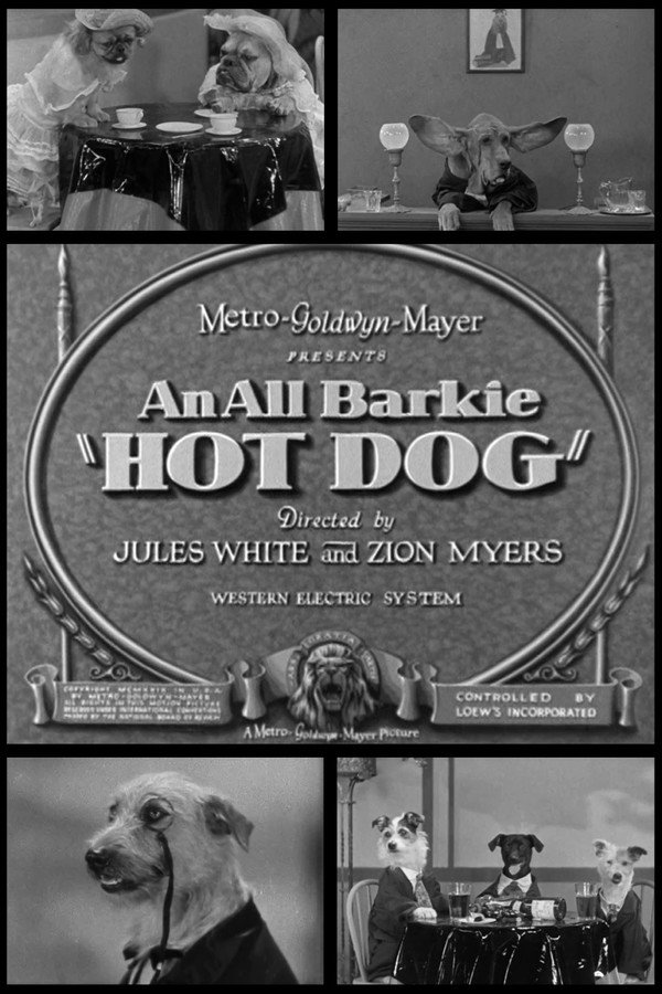 Hot Dog 海报