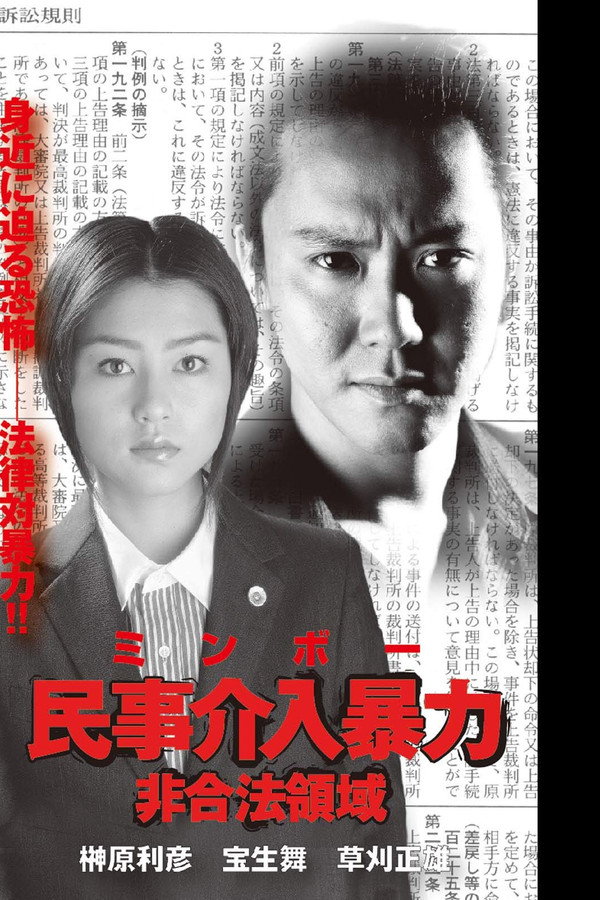 民事介入暴力 非合法領域 海报