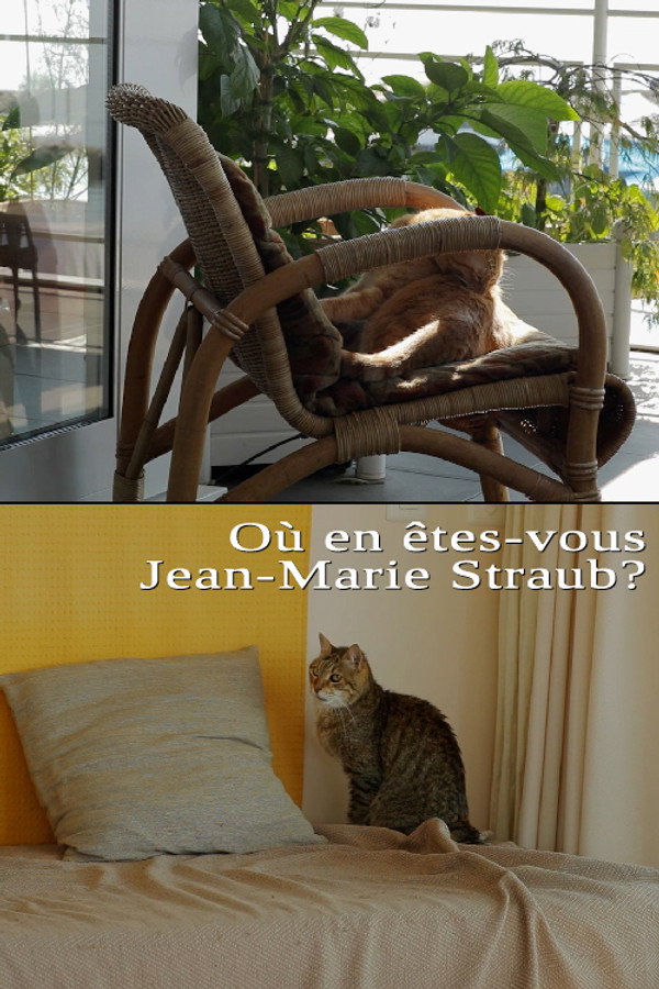 Où en êtes-vous, Jean-Marie Straub ? 海报