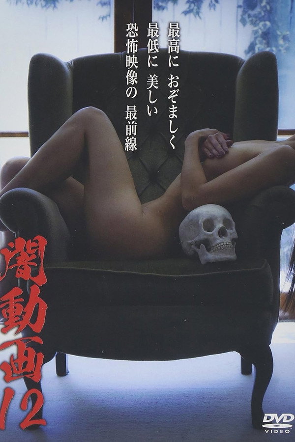 Tokyo Videos of Horror 12 poster