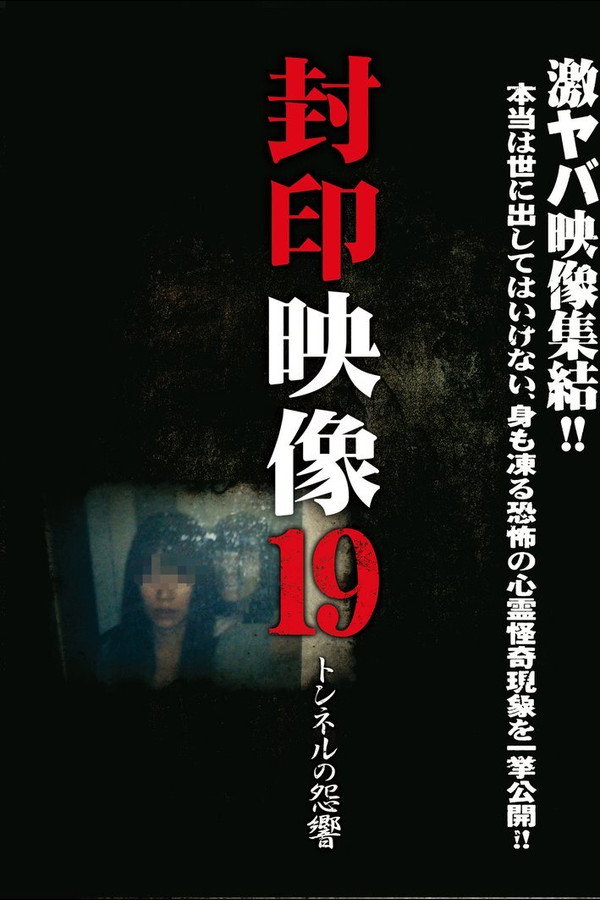 Sealed Video 19: Tunnel Grudge poster