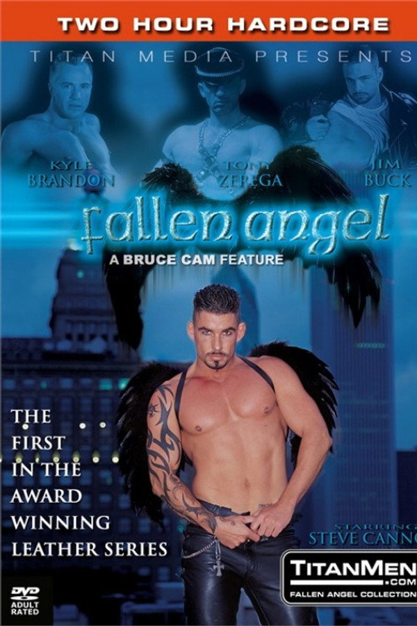 Fallen Angel 1 海报