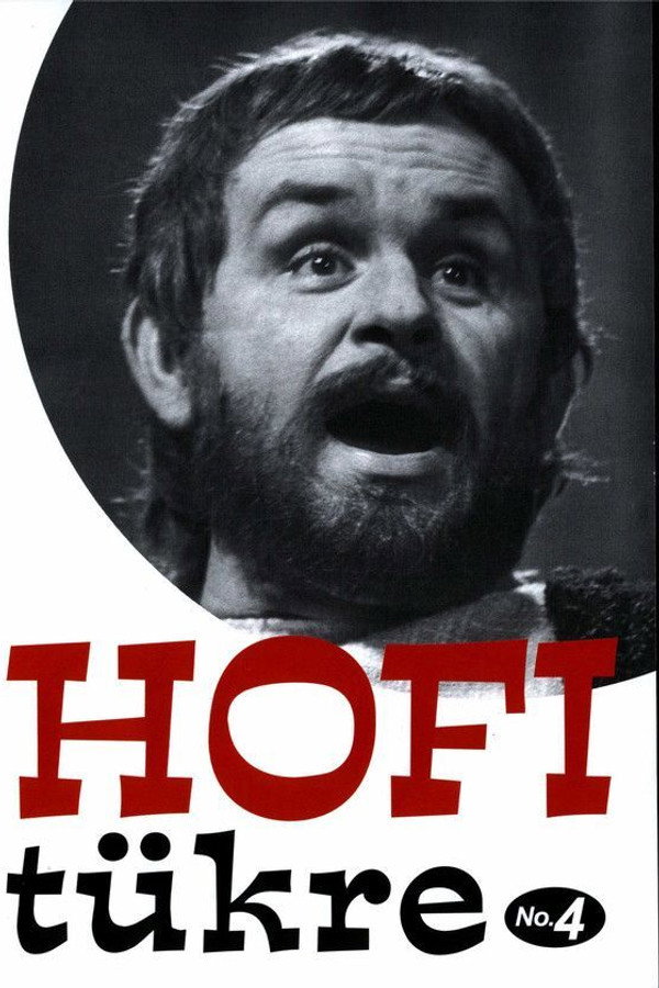 Hofi tükre No.4 海报