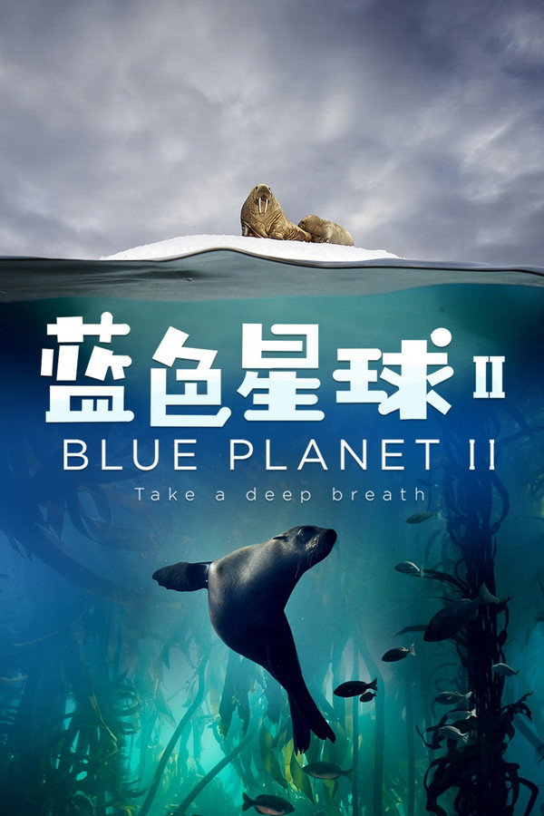 蓝色星球 2
