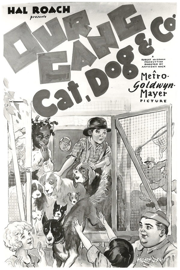 Cat, Dog & Co. 海报